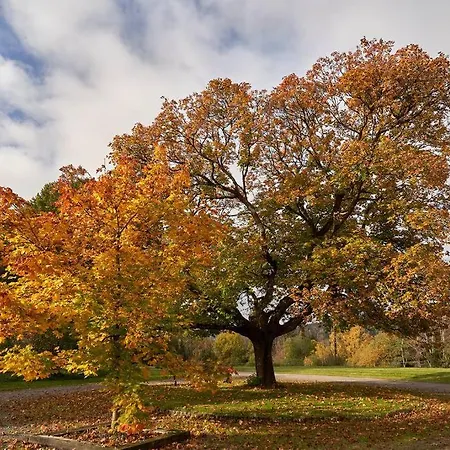 Koselig Pa Gardstun I Holiday home Oslo