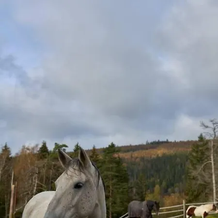 Koselig Pa Gardstun I Holiday home