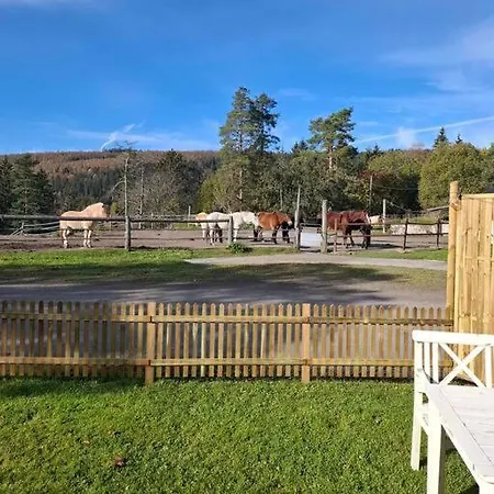 Koselig Pa Gardstun I * Oslo