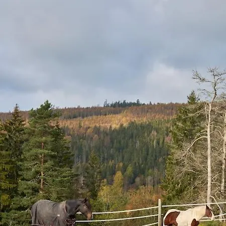 Holiday home Koselig Pa Gardstun I Oslo