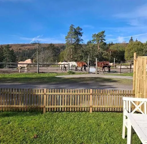 Koselig Pa Gardstun I * Oslo