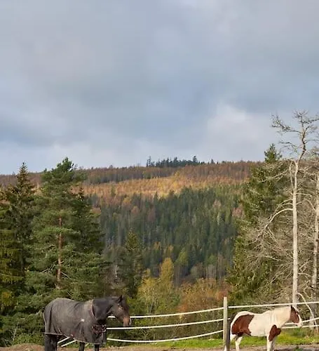 Dom wakacyjny Koselig Pa Gardstun I Oslo