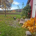 Koselig Pa Gardstun I 오슬로
