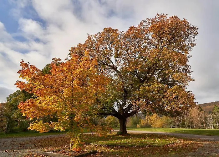 Koselig Pa Gardstun I Σπίτι διακοπών Όσλο