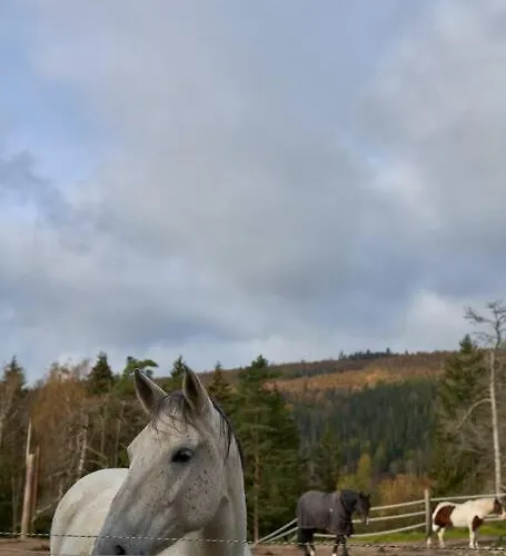 Koselig Pa Gardstun I Σπίτι διακοπών